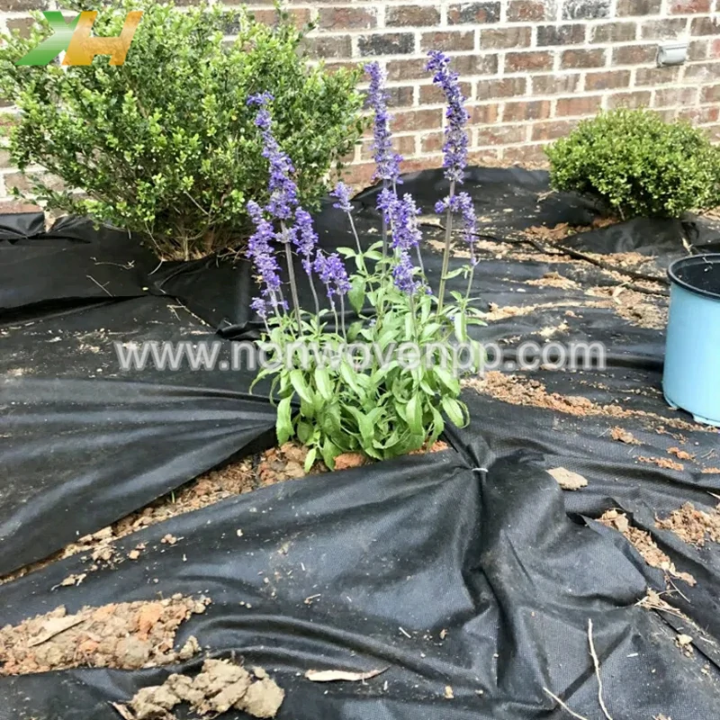 agriculture non woven fabric